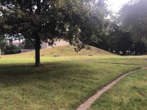 Wnętrze Górnickiego-Reja